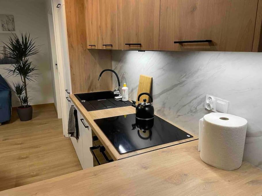 Lucky Seven Cosy 1-Bedroom Apartment, Free Parking Cracovie Extérieur photo