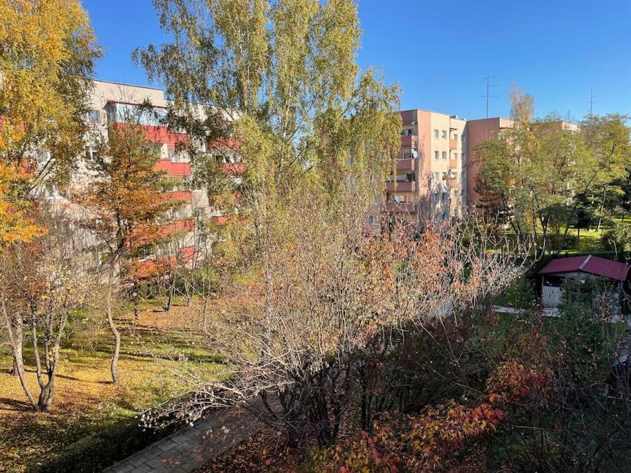 Lucky Seven Cosy 1-Bedroom Apartment, Free Parking Cracovie Extérieur photo